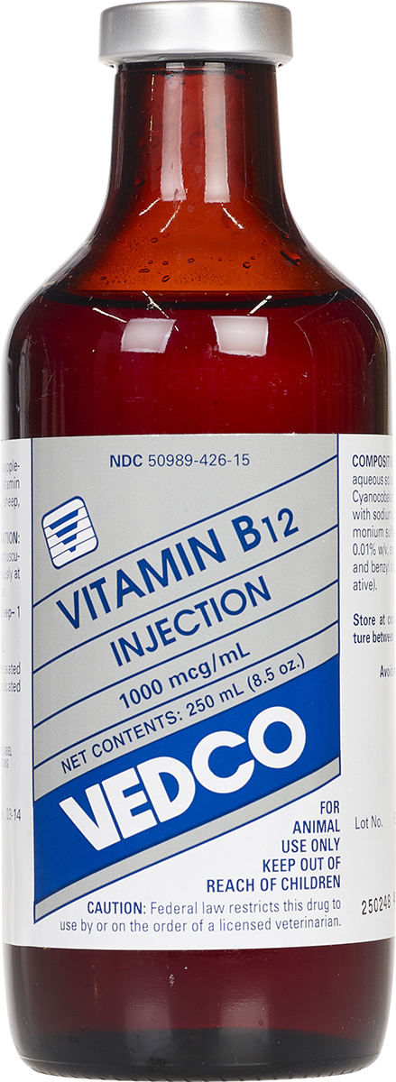 Vitamin B-12 Injectable Solution 1000mcg/ML 250ml Vial Vitamin B-12 Injectable Solution 1000mcg/ML 250ml Vial
