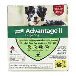 Advantage II for Dogs 4 doses (21-55 lbs) - Item # 18149