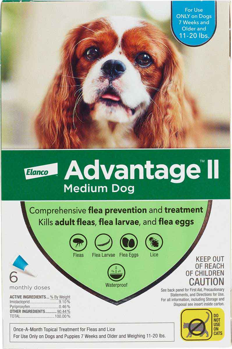 Dog Flea And Advantage Medium Dog Advantage Flea Treatment For