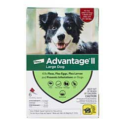 Advantage II for Dogs 6 pk (21-55 lbs) Red - Item # 18196