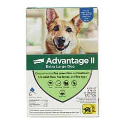 Advantage II for Dogs 6 pk (over 55 lbs) Blue - Item # 18197