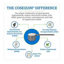 Cosequin ASU Plus Joint Health Supplement for Horses 1050 gm - Item # 18335