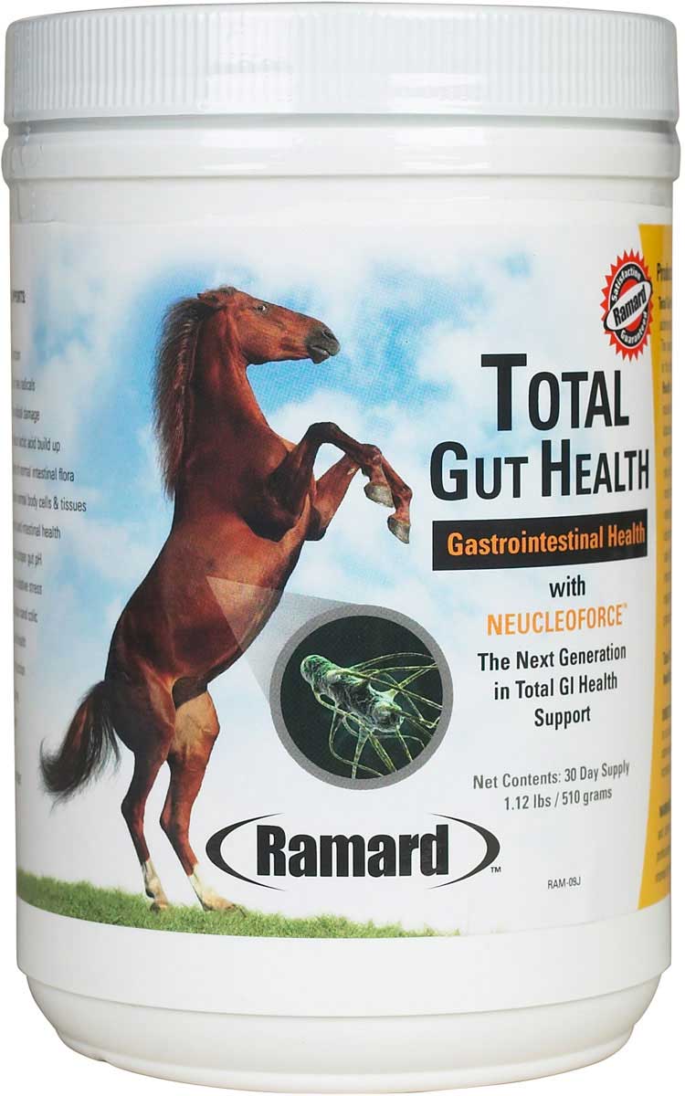 Total Gut Health With Neucleoforce For Horse Gi Health Support Ramard ...