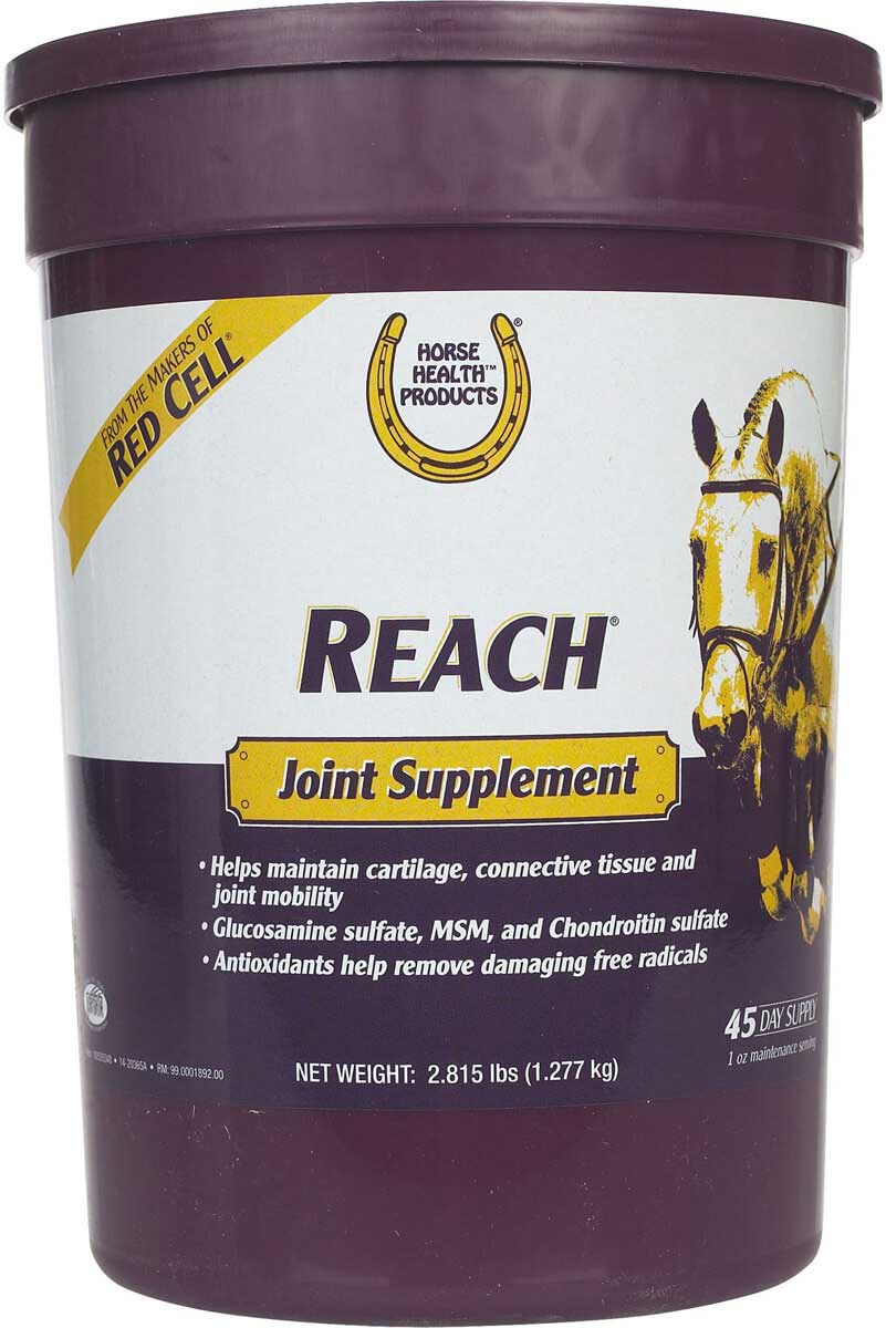 Equine Joint Supplement Comparison Chart