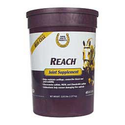 Reach Joint Supplement for Horses 2.815 lb (45 days) - Item # 18645