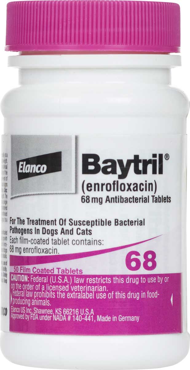 Baytril Antibacterial Tablets for Dogs Cats Bayer Safe.PharmacyCat
