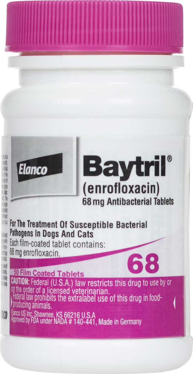 Baytril Antibacterial Tablets for Dogs Cats Bayer - Safe.Pharmacy|Cat (Rx) | Pet Pharmacy (Rx) | Pet