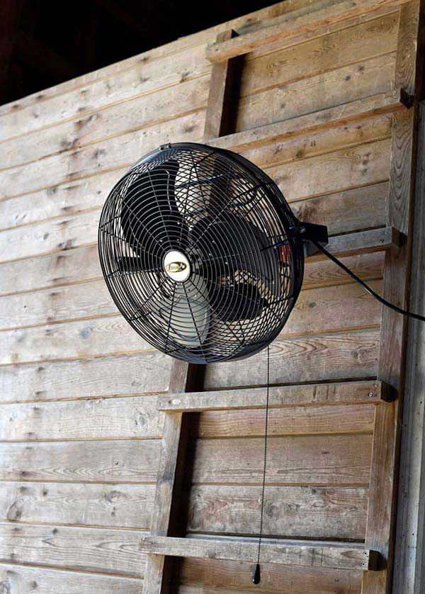 Waterproof Livestock Or Barn Fan, Outdoor Wall Mounted Waterproof Fans With Remote