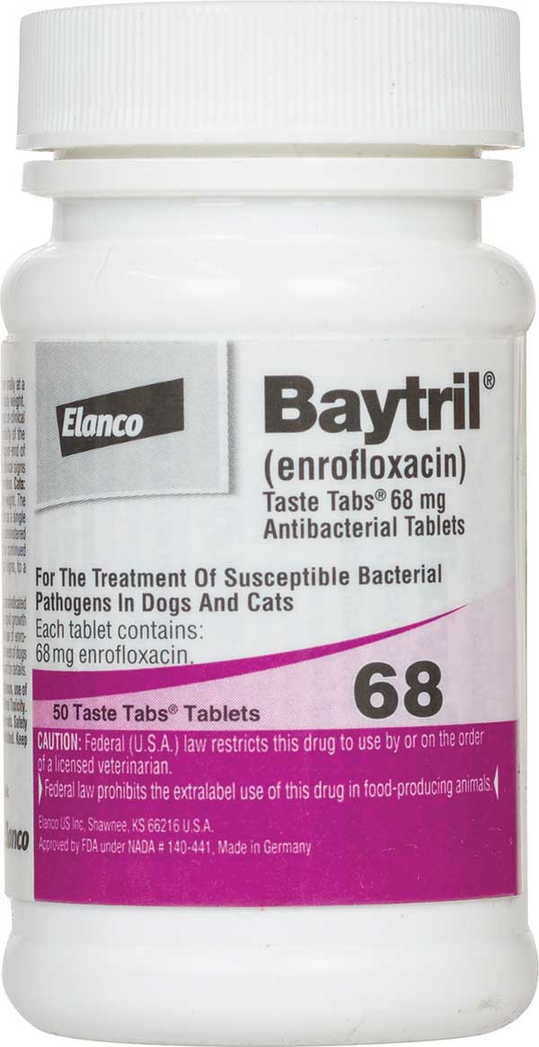 Baytril Antibacterial Taste Tabs for Dogs Cats Elanco Animal Health - Safe.Pharmacy|Antibiotics | Do