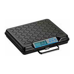 Portable Bench Scale 100 lb - Item # 20247