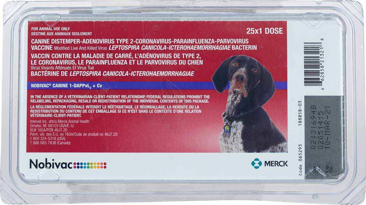 nobivac canine 1-dappvl2   cv  galaxy da2ppvl   cv  dog vaccine merck