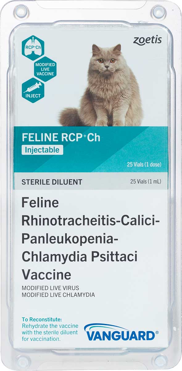 Felocell 4 Cat Vaccine Zoetis Animal Health Cat Vaccines Vaccines Pet