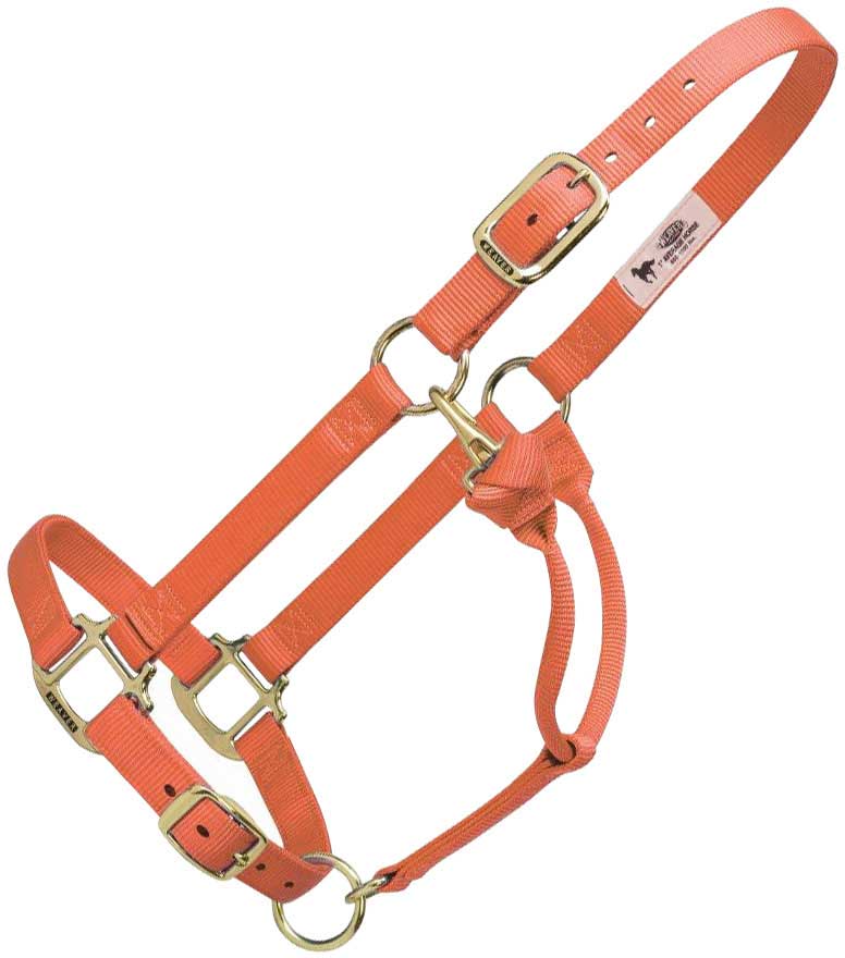 Adjustable Yearling 1" Horse Halter Weaver Leather Halters Halters