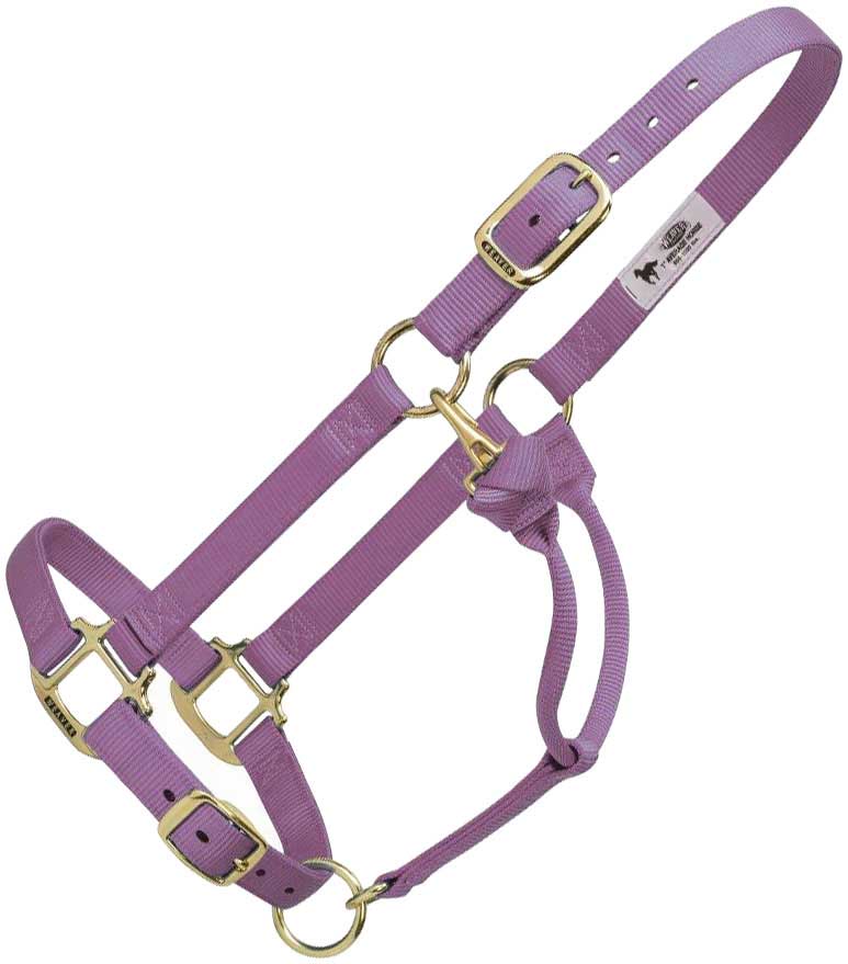 Adjustable Yearling 1 Horse Halter Weaver Leather - Halters, Halters  Leads, Supplies Tack