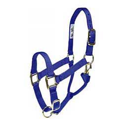 Adjustable Yearling 1-in Horse Halter Blue - Item # 20351