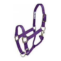 Adjustable Yearling 1-in Horse Halter Purple - Item # 20351