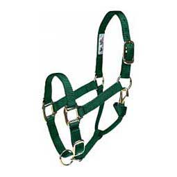 Adjustable Yearling 1-in Horse Halter Hunter - Item # 20351