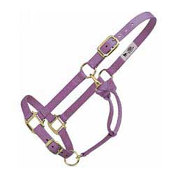 Adjustable Yearling 1" Horse Halter Lavender - Item # 20351