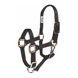 Adjustable 3/4-in Suckling or Foal Horse Halter Black - Item # 20352