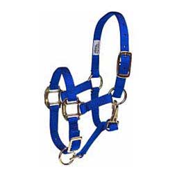 Adjustable 3/4-in Suckling or Foal Horse Halter Blue - Item # 20352