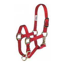 Adjustable 3/4-in Suckling or Foal Horse Halter Red - Item # 20352
