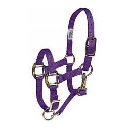 Adjustable 3/4-in Suckling or Foal Horse Halter Purple - Item # 20352