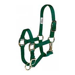 Adjustable 3/4-in Suckling or Foal Horse Halter Hunter - Item # 20352