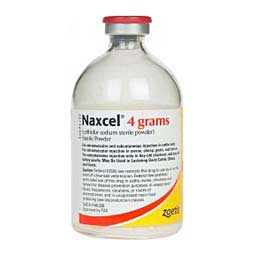 Naxcel for Multiple Species of Animals 4 gm powder only - Item # 205RX