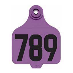 Allflex DuFlex Numbered Large Cattle ID Ear Tags Purple - Item # 20714