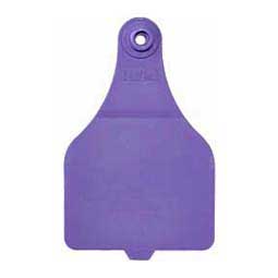 Allflex DuFlex Blank Extra Large Cattle ID Ear Tags Purple - Item # 20722