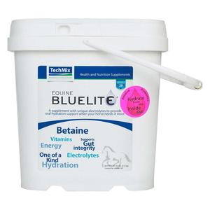 Equine Bluelite Powder 6 lb - Item # 20733