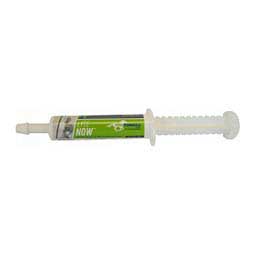 Lyte Now Equine Electrolyte 30 cc - Item # 21152