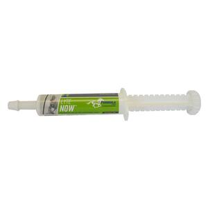 Lyte Now Equine Electrolyte 30 cc - Item # 21152