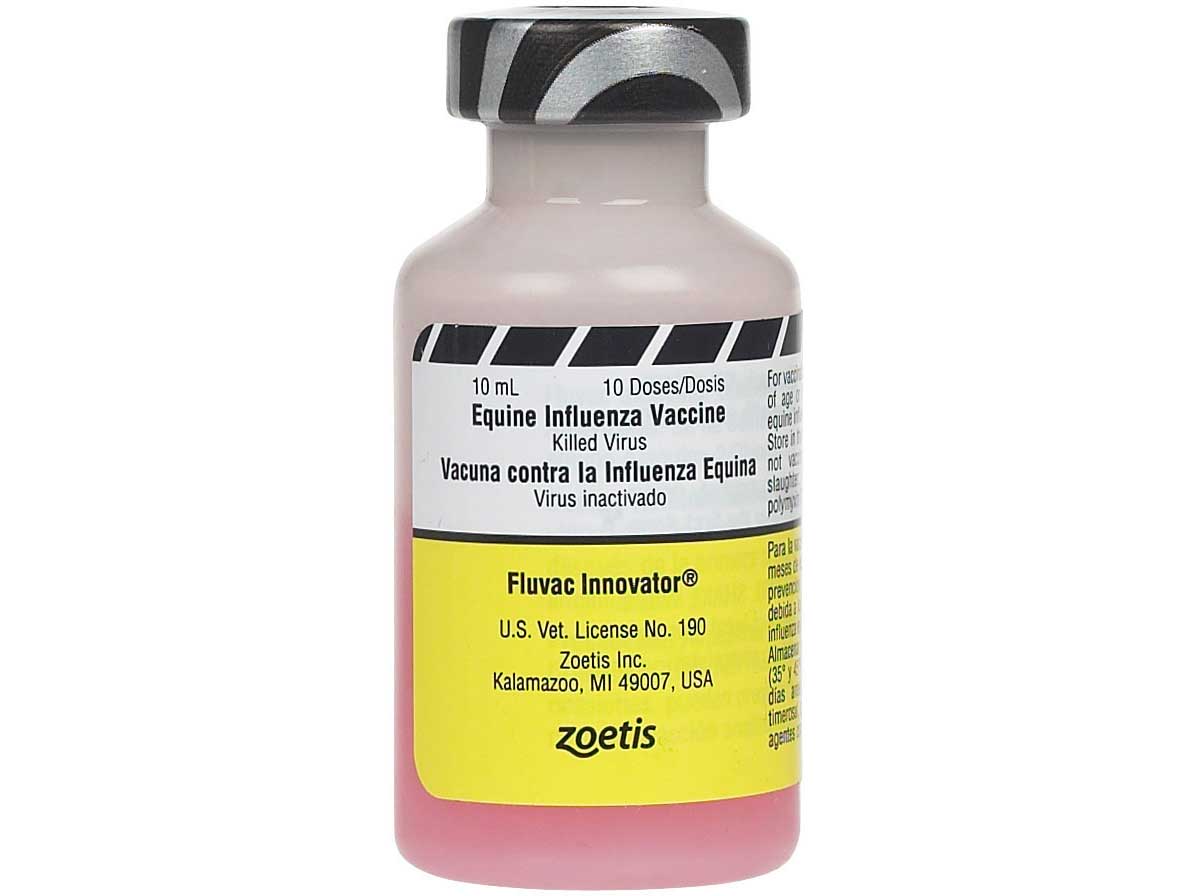 Fluvac Innovator Flu Equine Vaccine Zoetis Animal Health fluvac-innovator-flu-equine-vaccine-zoetis-animal-health