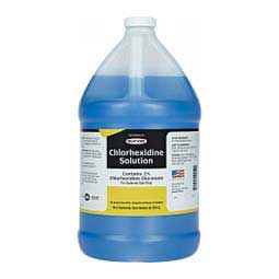 Chlorhexidine Disinfectant Solution Gallon - Item # 21281