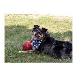 The Tug-N-Toss Jolly Ball for Dogs 6 in (breed size Brittany Bulldog etc) - Item # 21652