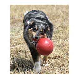 The Tug-N-Toss Jolly Ball for Dogs 6 in (breed size Brittany Bulldog etc) - Item # 21652