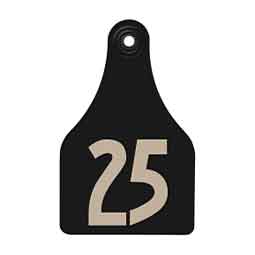 Allflex Global Numbered Super-Maxi Cattle ID Ear Tags Black - Item # 21971