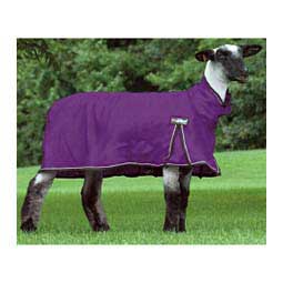 ProCool Sheep Blanket Purple - Item # 22155