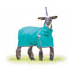 ProCool Sheep Blanket Teal - Item # 22155