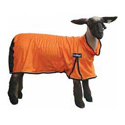 ProCool Sheep Blanket Orange - Item # 22155