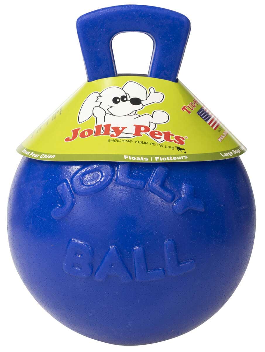 jolly ball for dogs