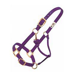 Hot Adjustable Nylon Horse Halter Purple - Item # 22733