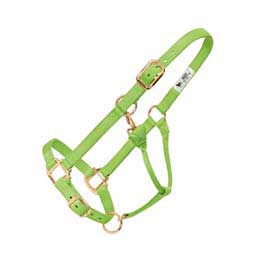 Hot Adjustable Nylon Horse Halter Lime Zest - Item # 22733