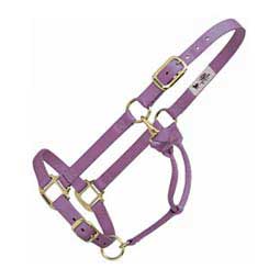 Hot Adjustable Nylon Horse Halter Lavender - Item # 22733