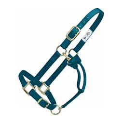 Hot Adjustable Nylon Horse Halter Teal - Item # 22733
