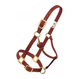 Personalized Hot Horse Halter Cinnamon - Item # 22892