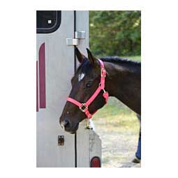 Hot Adjustable Nylon Horse Halter Diva Pink - Item # 22733