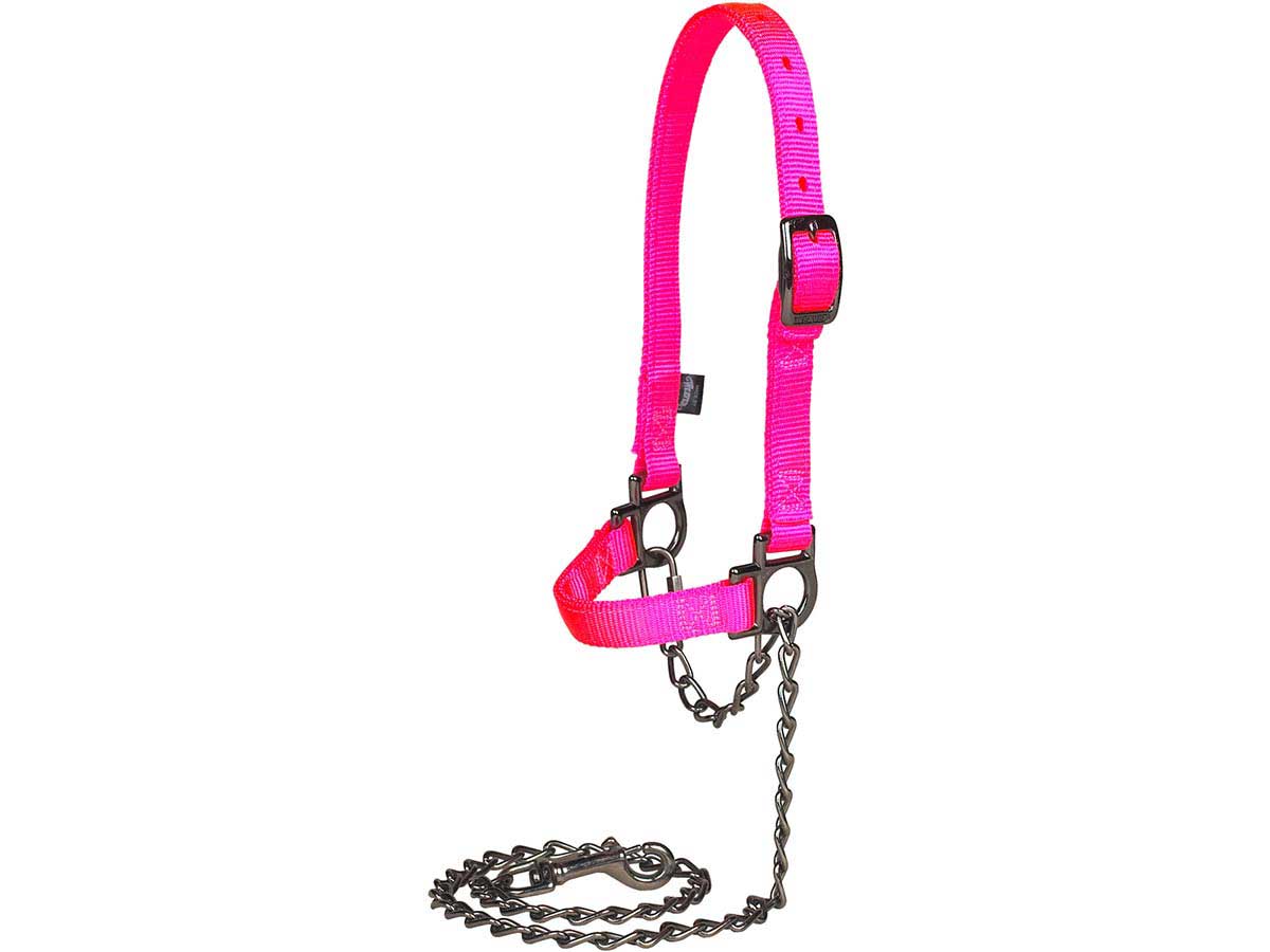 Nylon Sheep Halter & Lead Pink Fusion Item 22741