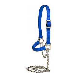 Nylon Sheep Halter & Lead Blue - Item # 22741